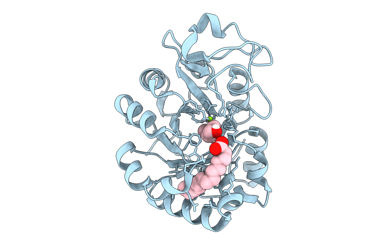 7E2B image