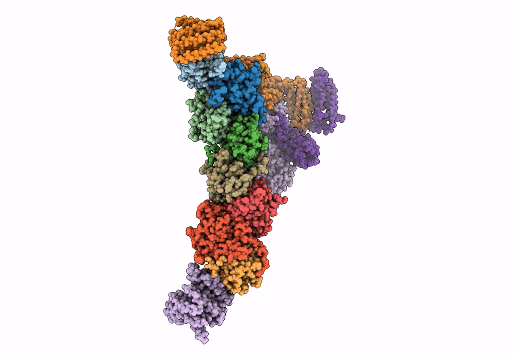 7E2D image