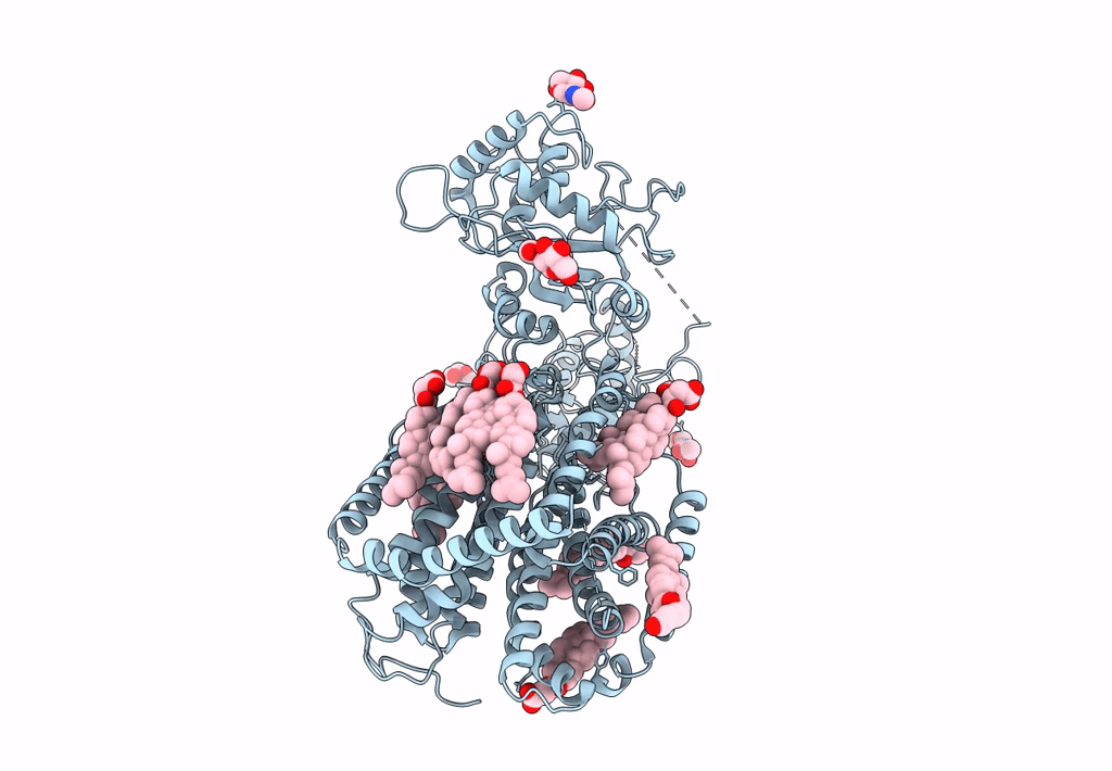 7E2G image