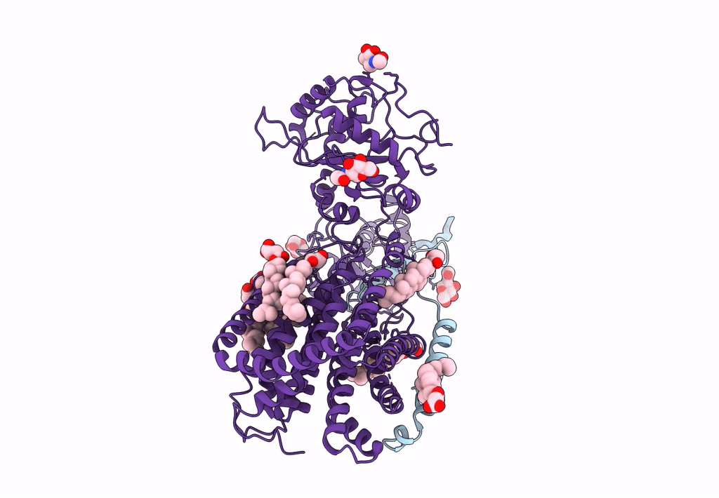 7E2H image