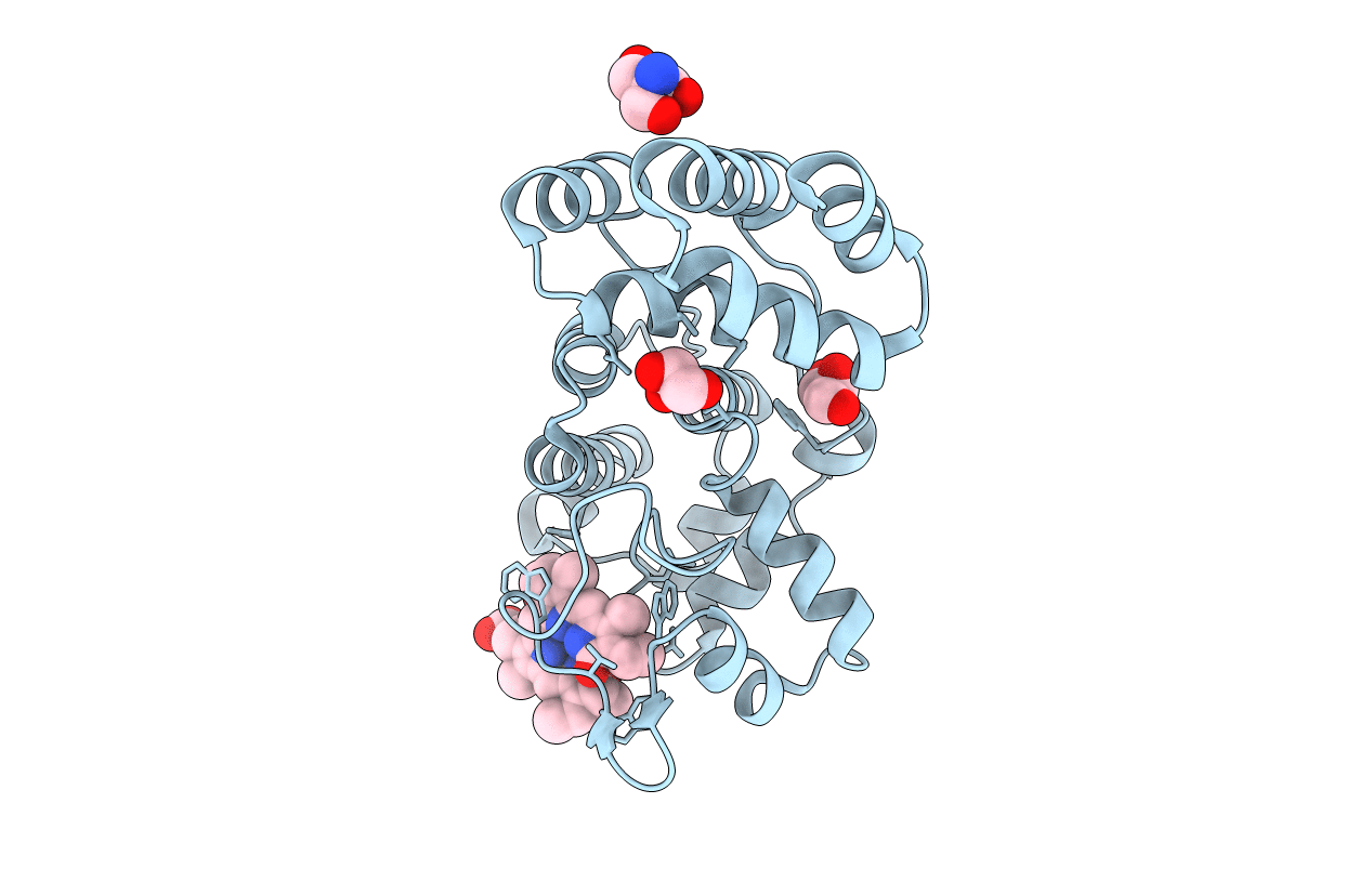 7E2U image