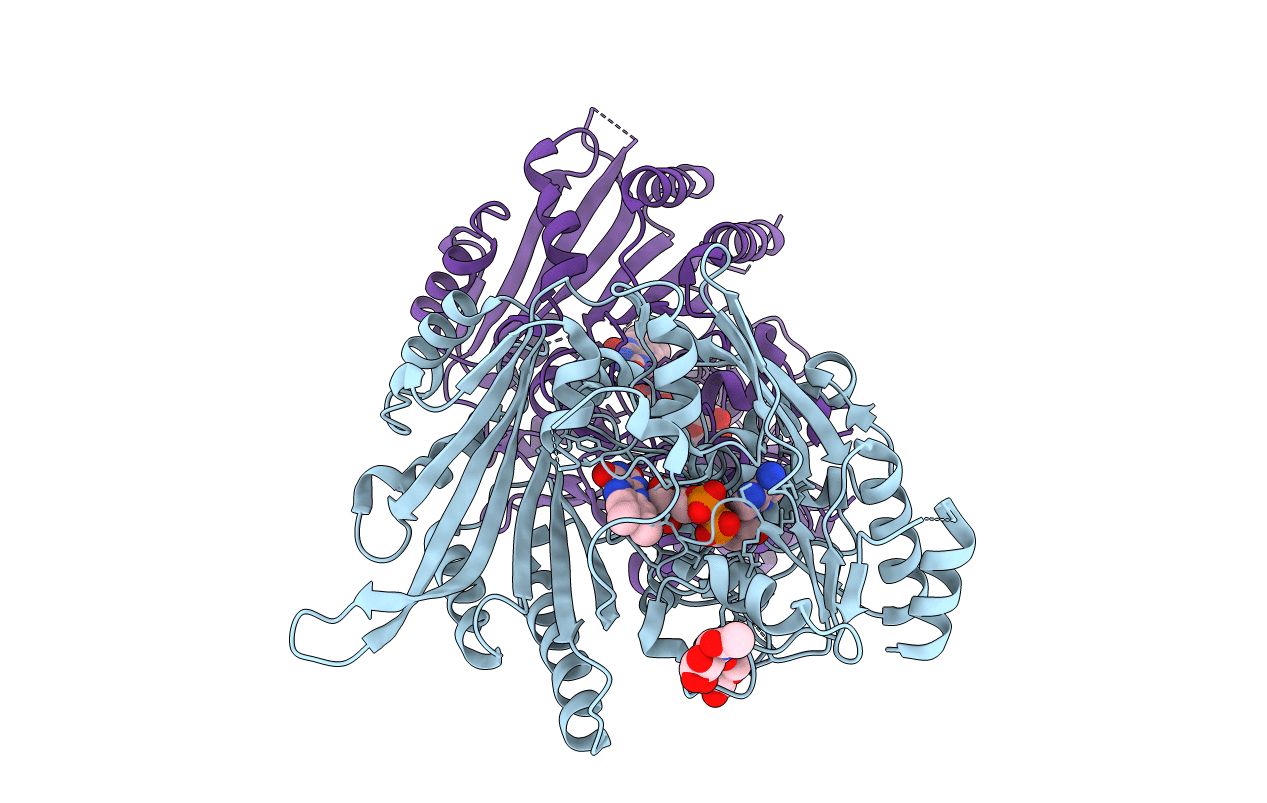 7E2V image