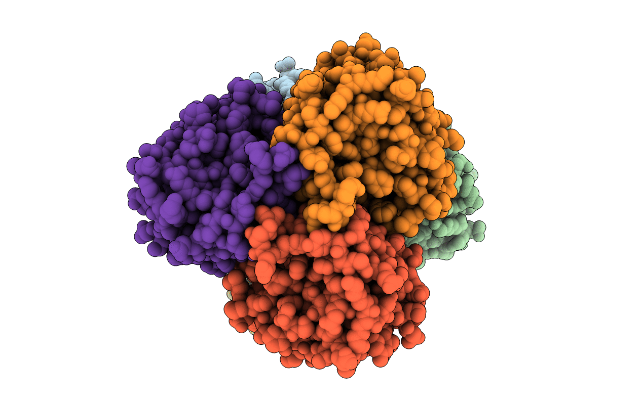 7E3V image