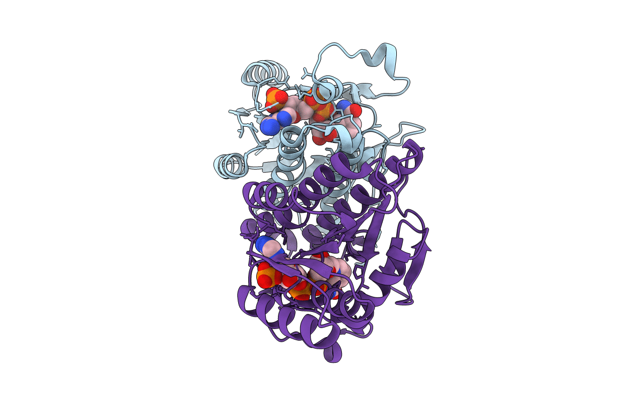 7E3X image
