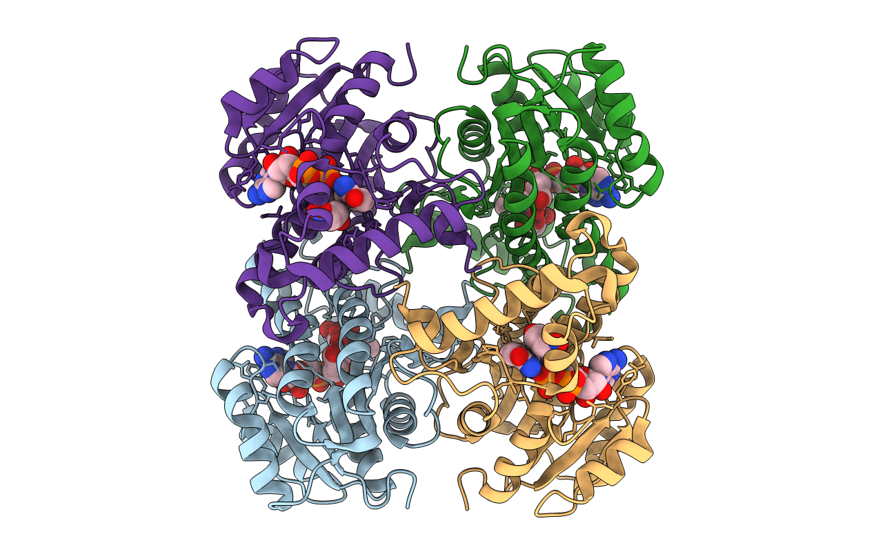 7E48 image