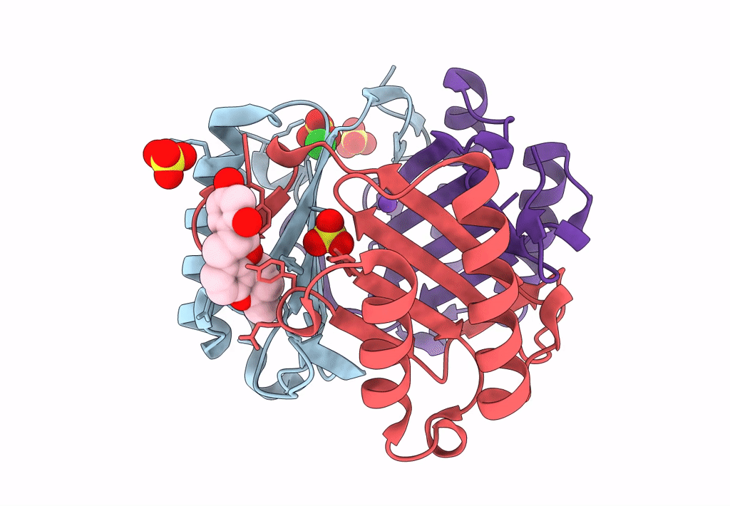 7E4C image