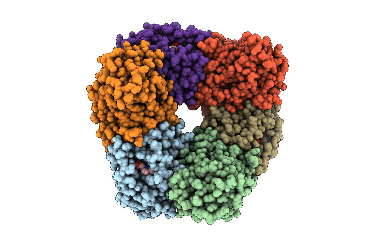 7E4S image