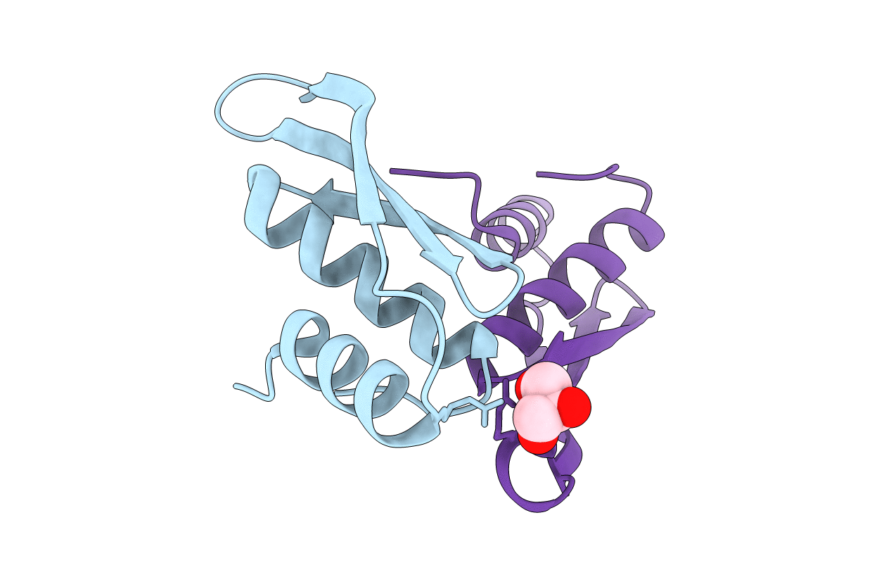 7E4V image