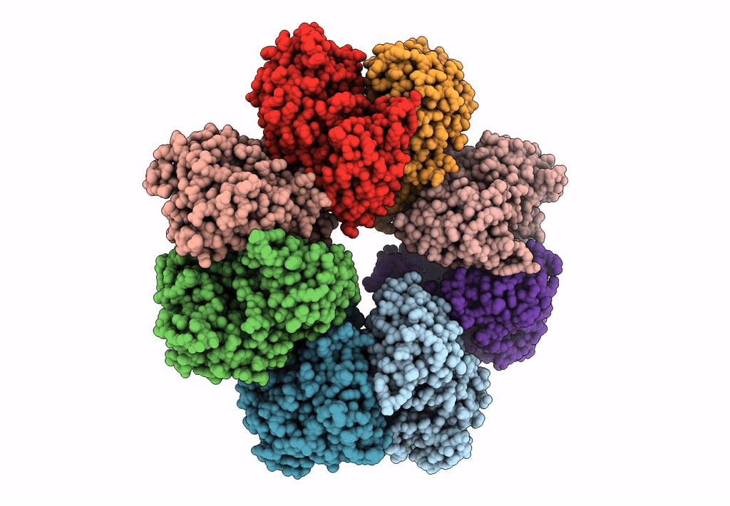 7E4X image