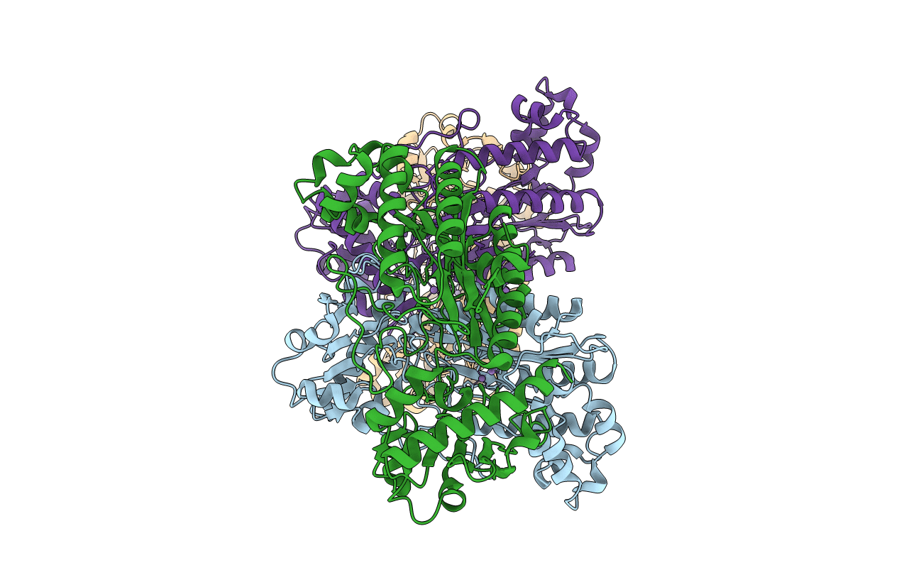 7E5C image