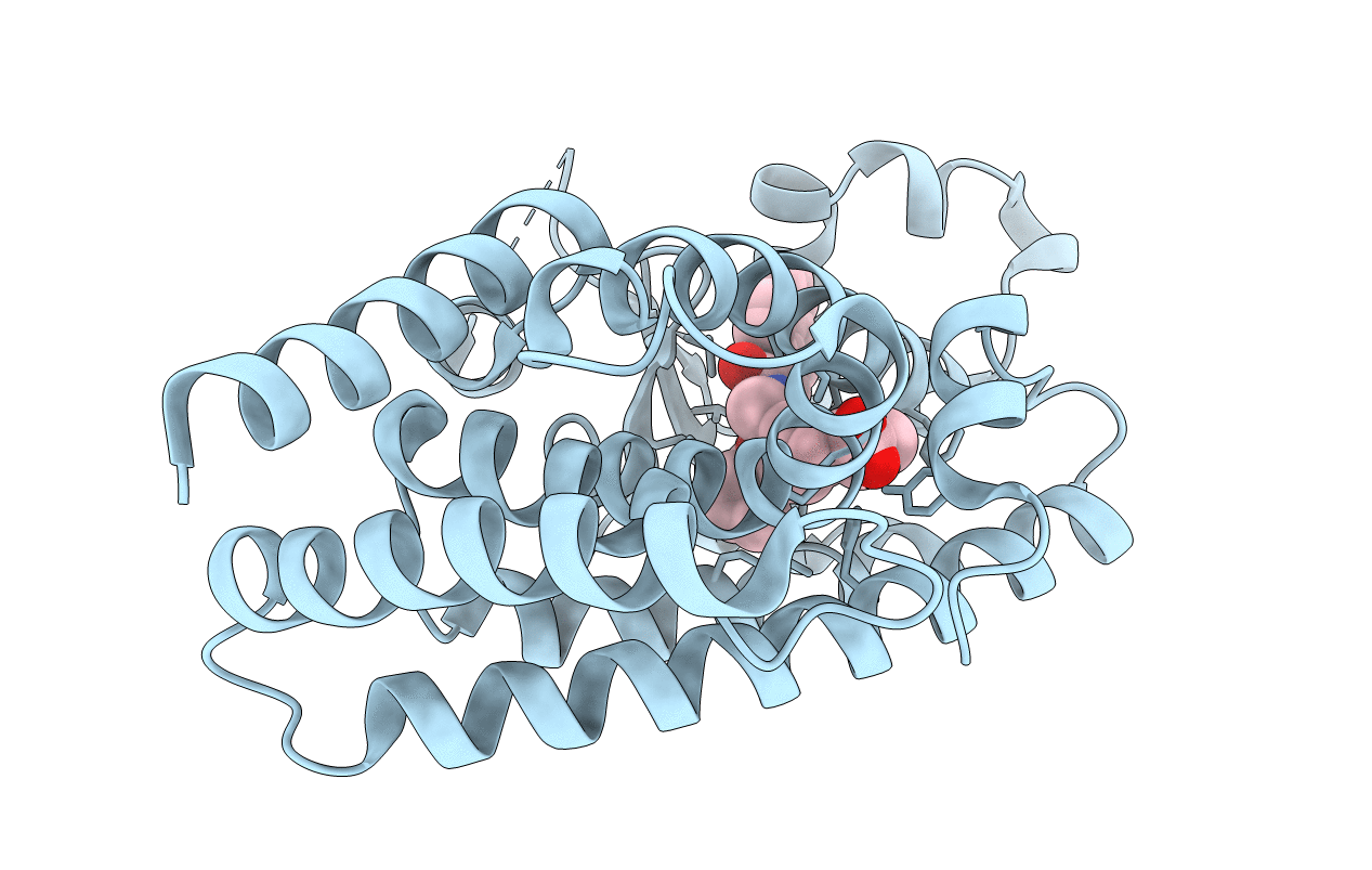 7E5G image