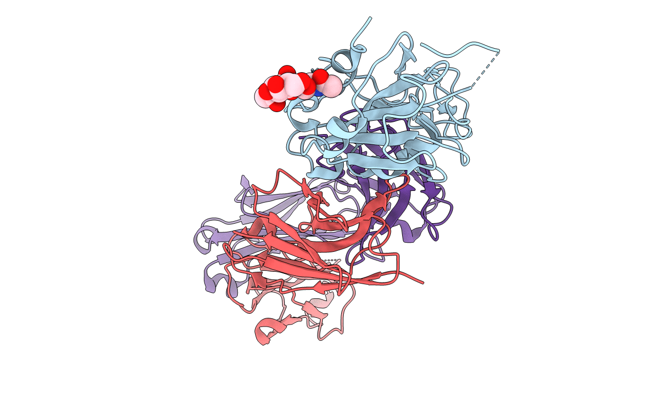 7E5O image