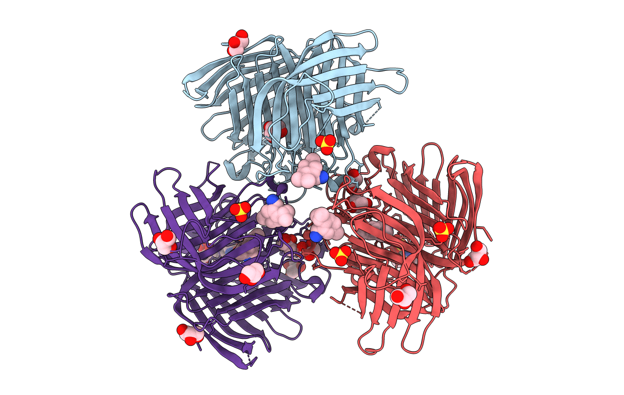 7E5V image