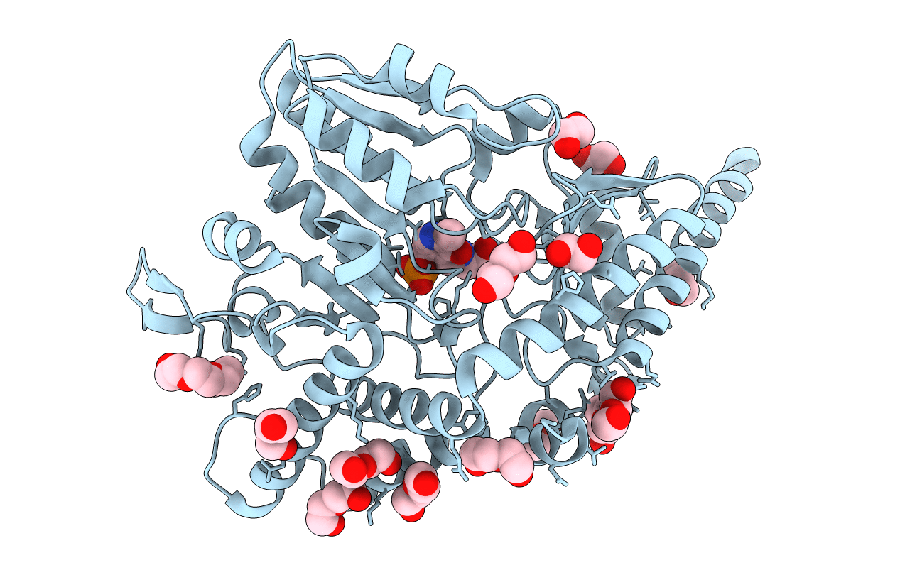 7E6C image