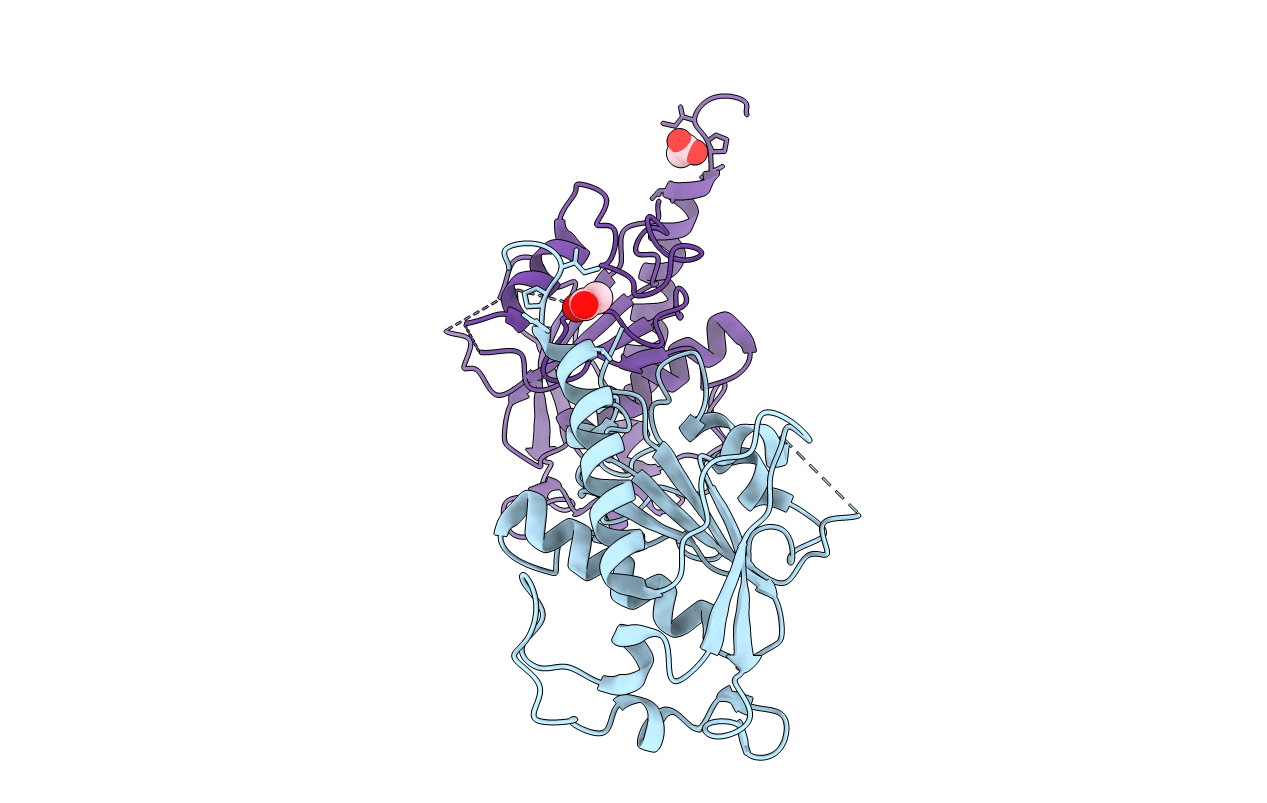 7E6V image