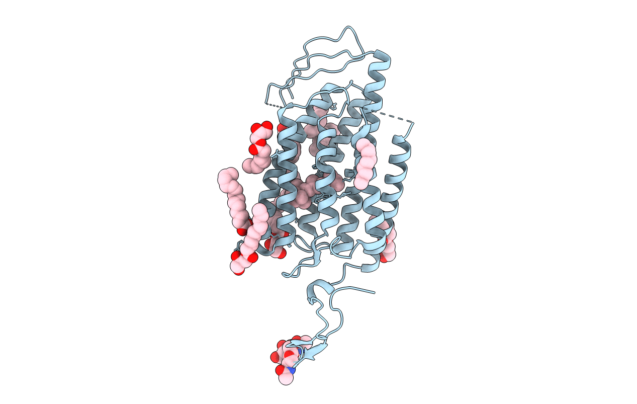 7E6Z image