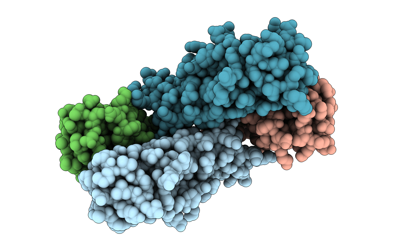 7E74 image