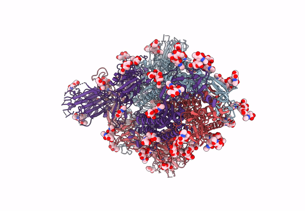 7E7D image