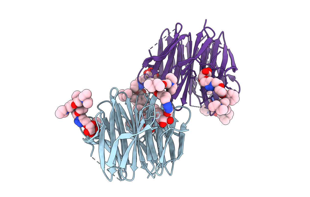 7E7R image