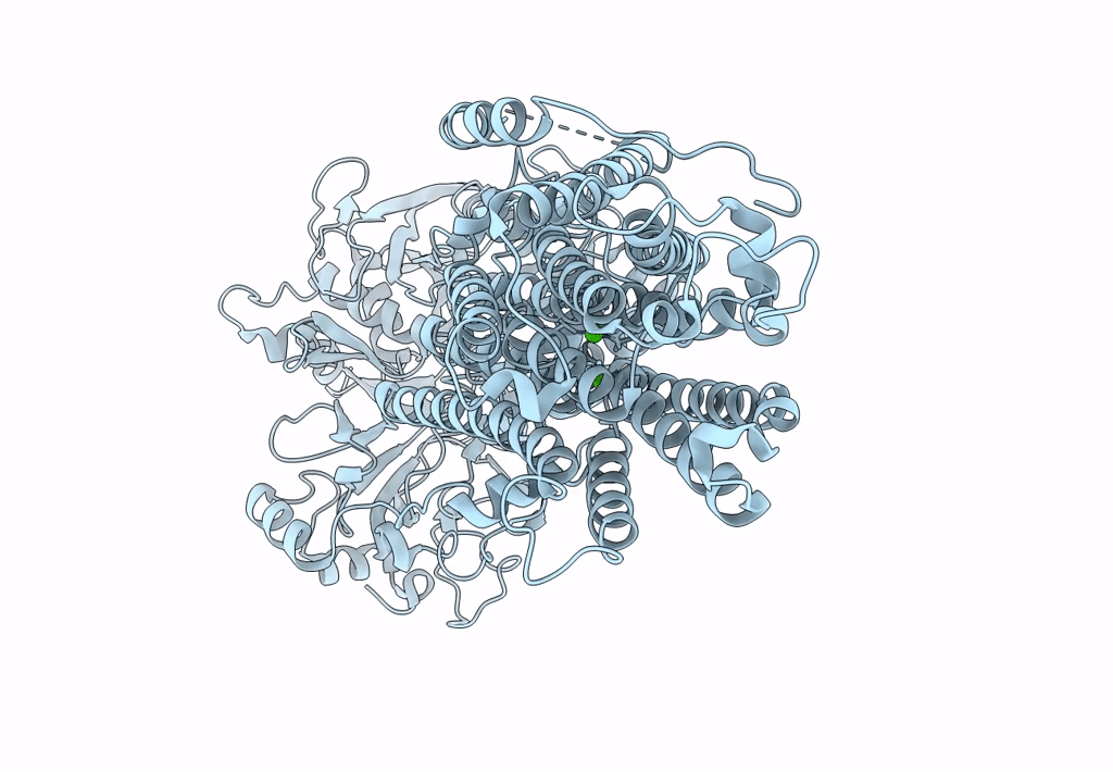 7E7S image