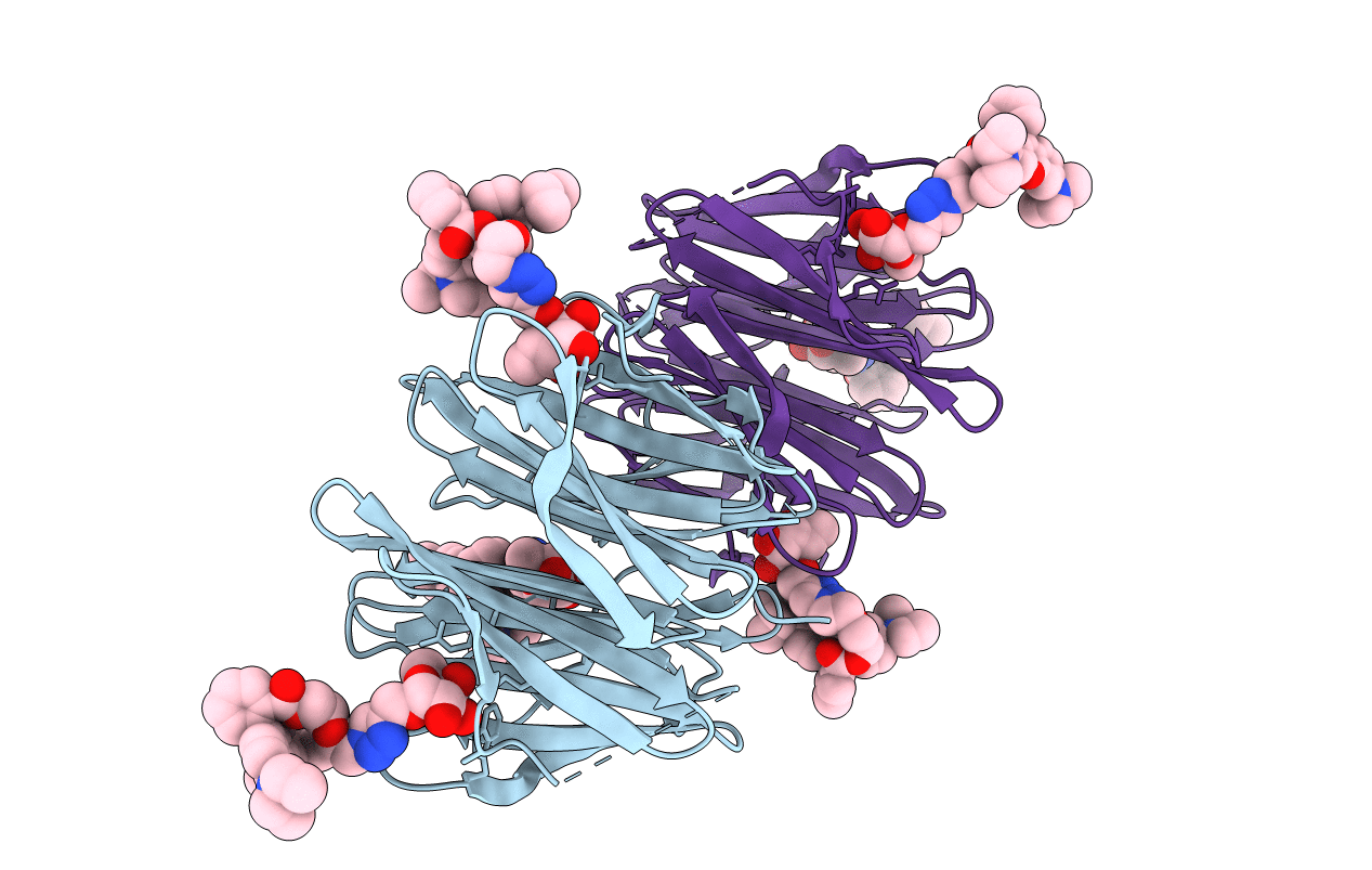 7E7T image