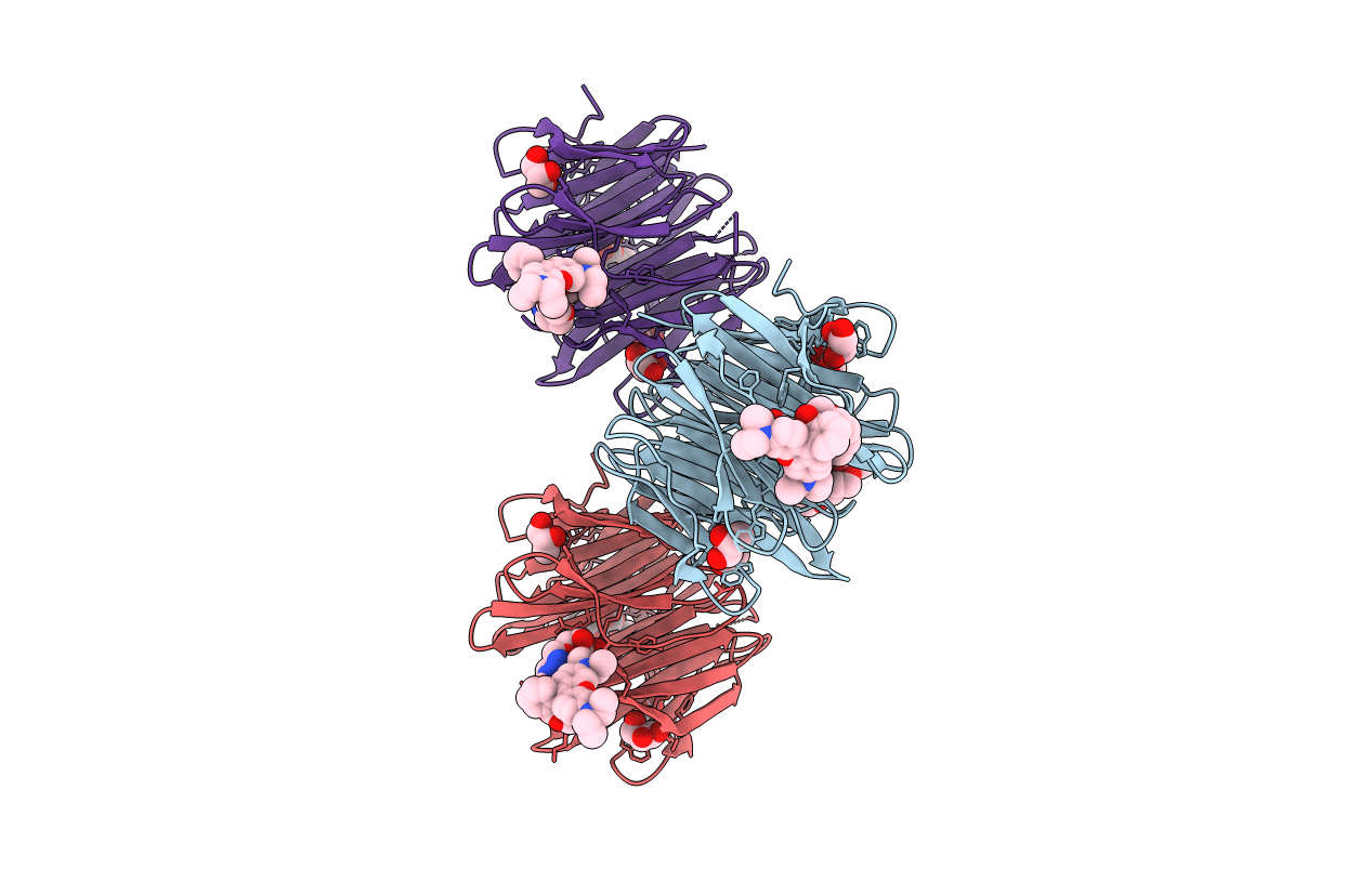 7E7V image