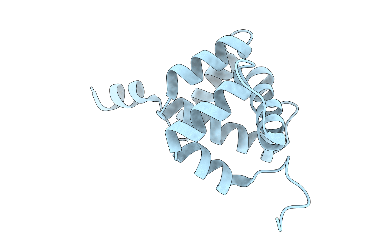 7E8L image