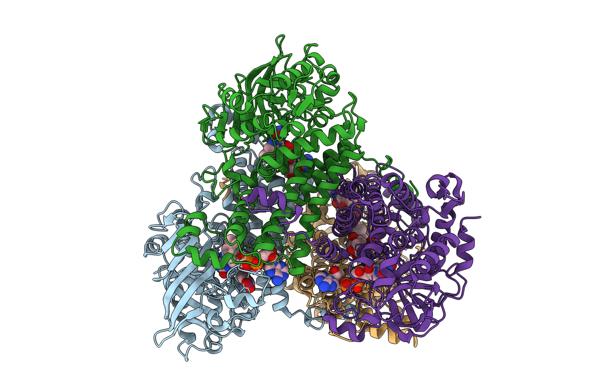7E8P image