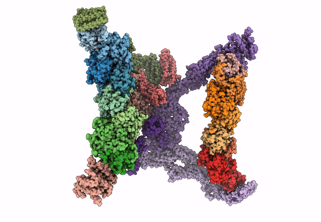 7E8S image
