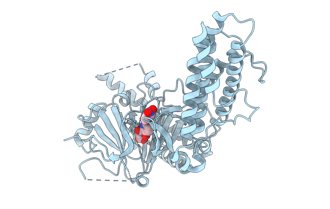 7E8Z image