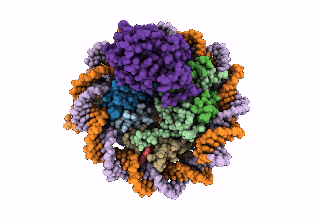 7E9C image