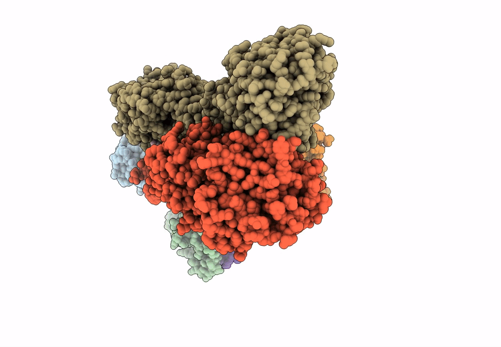7EB2 image