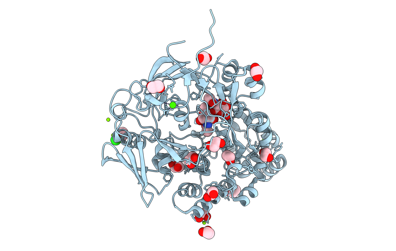 7EBI image