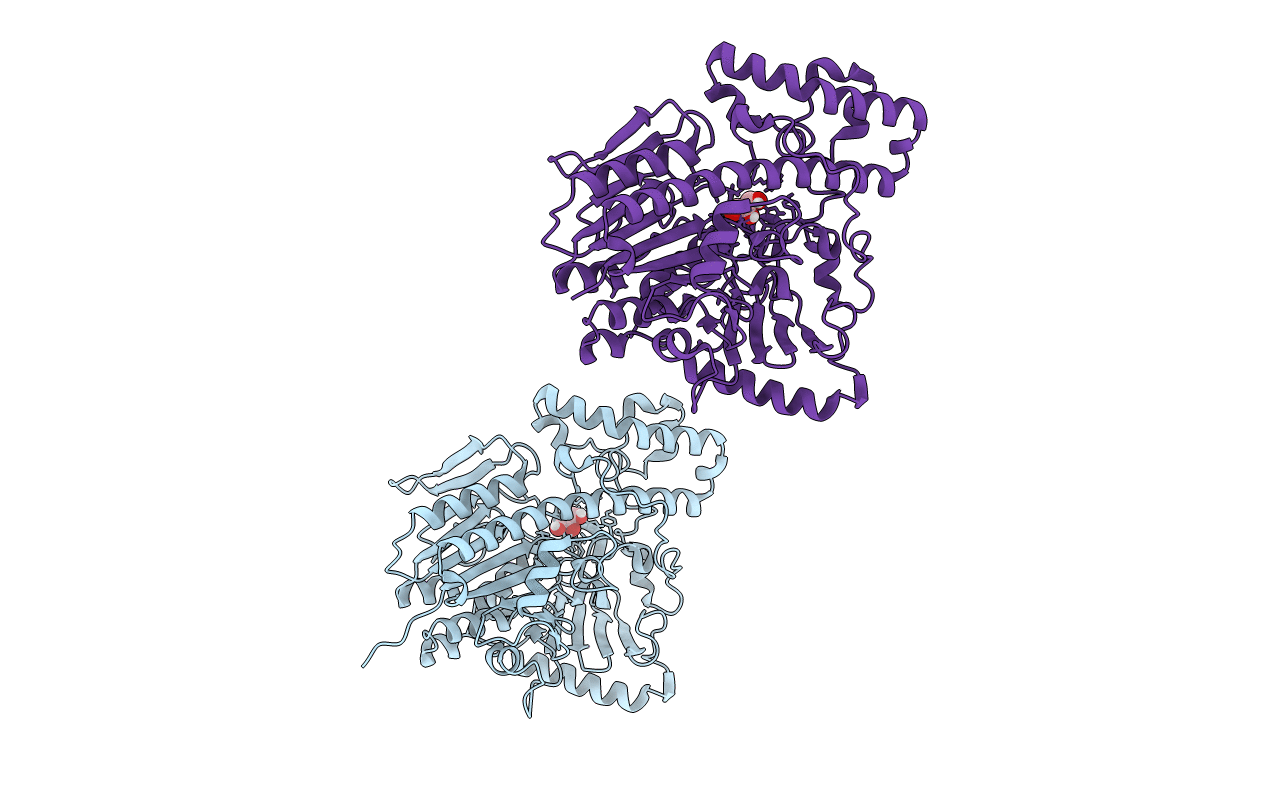 7EBP image