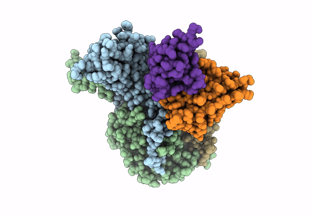 7EBR image