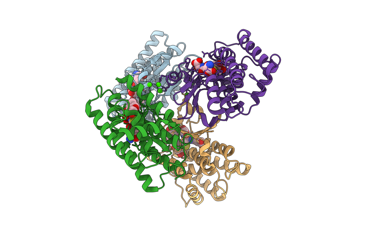 7EBW image