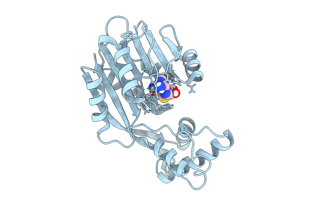 7EBX image