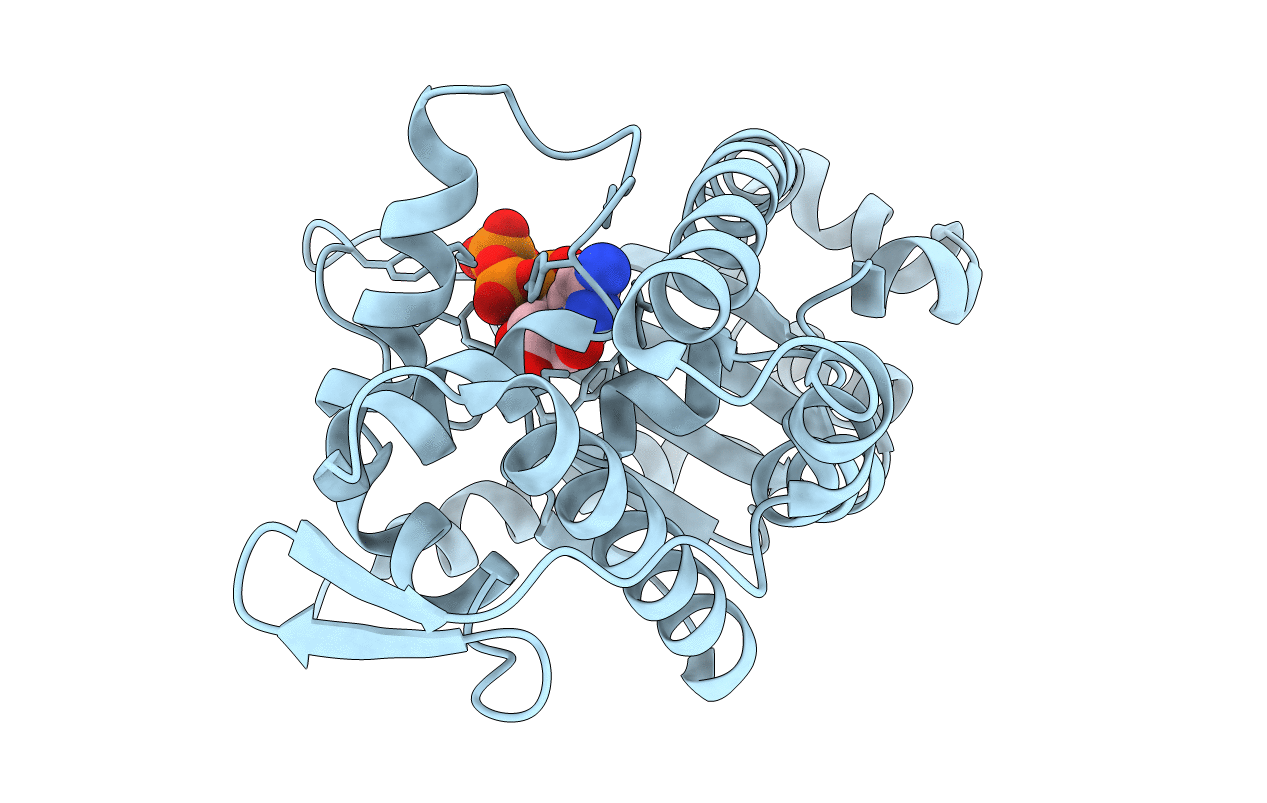 7ECD image