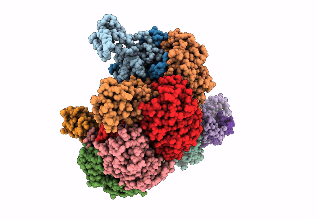 7ECV image