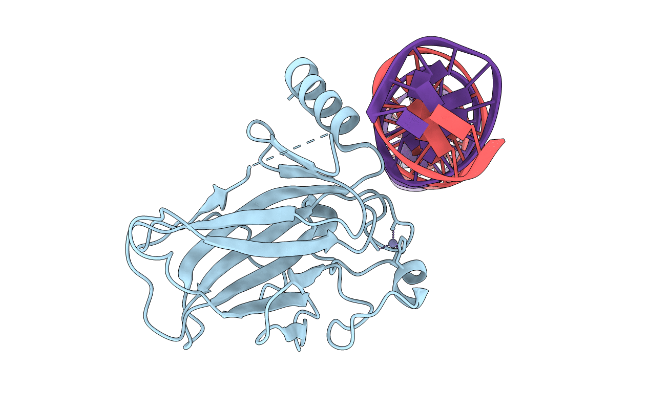 7EDS image