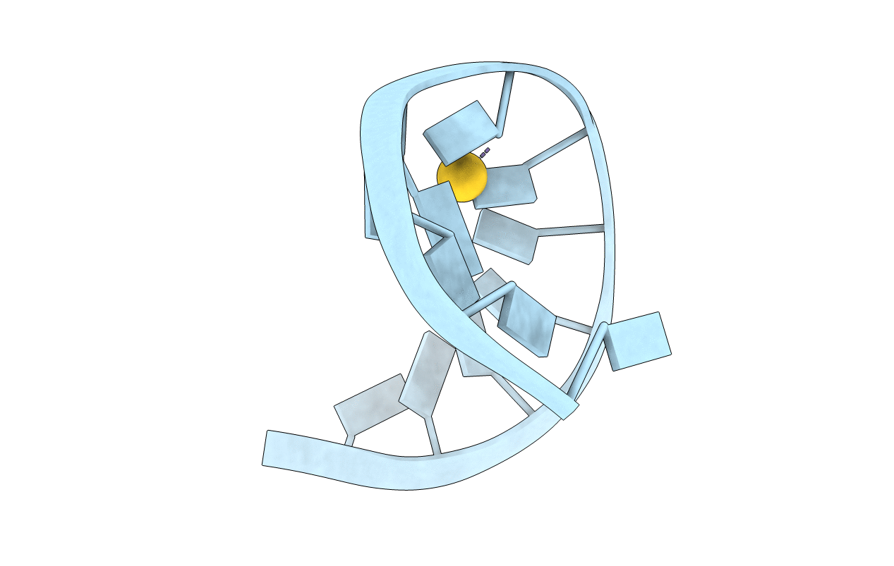7EDV image