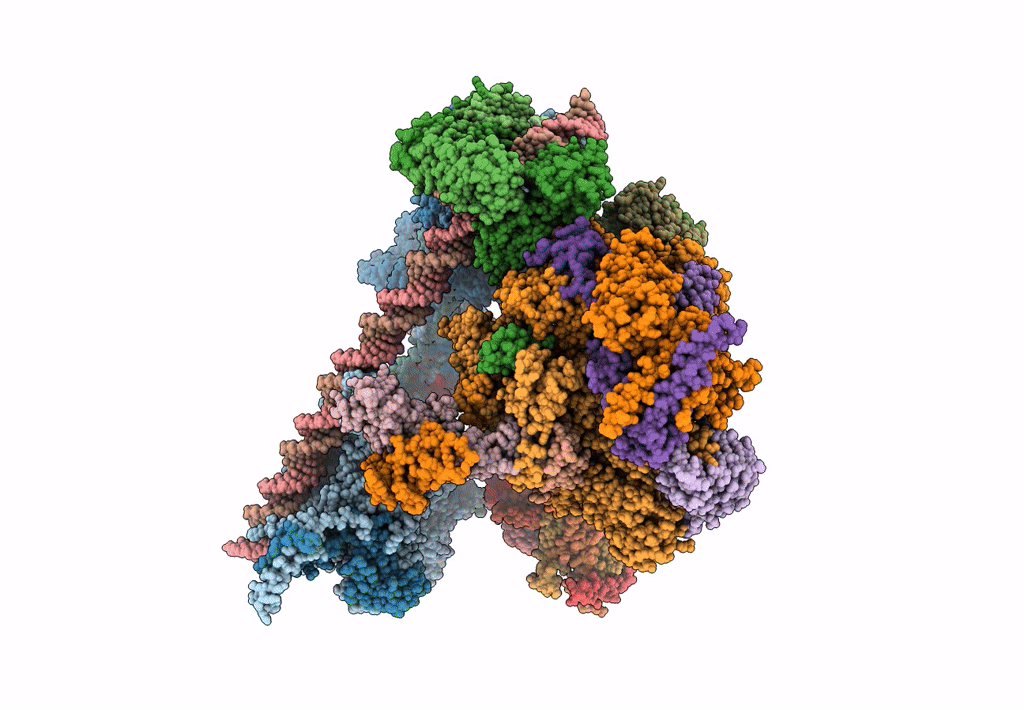 7EDX image