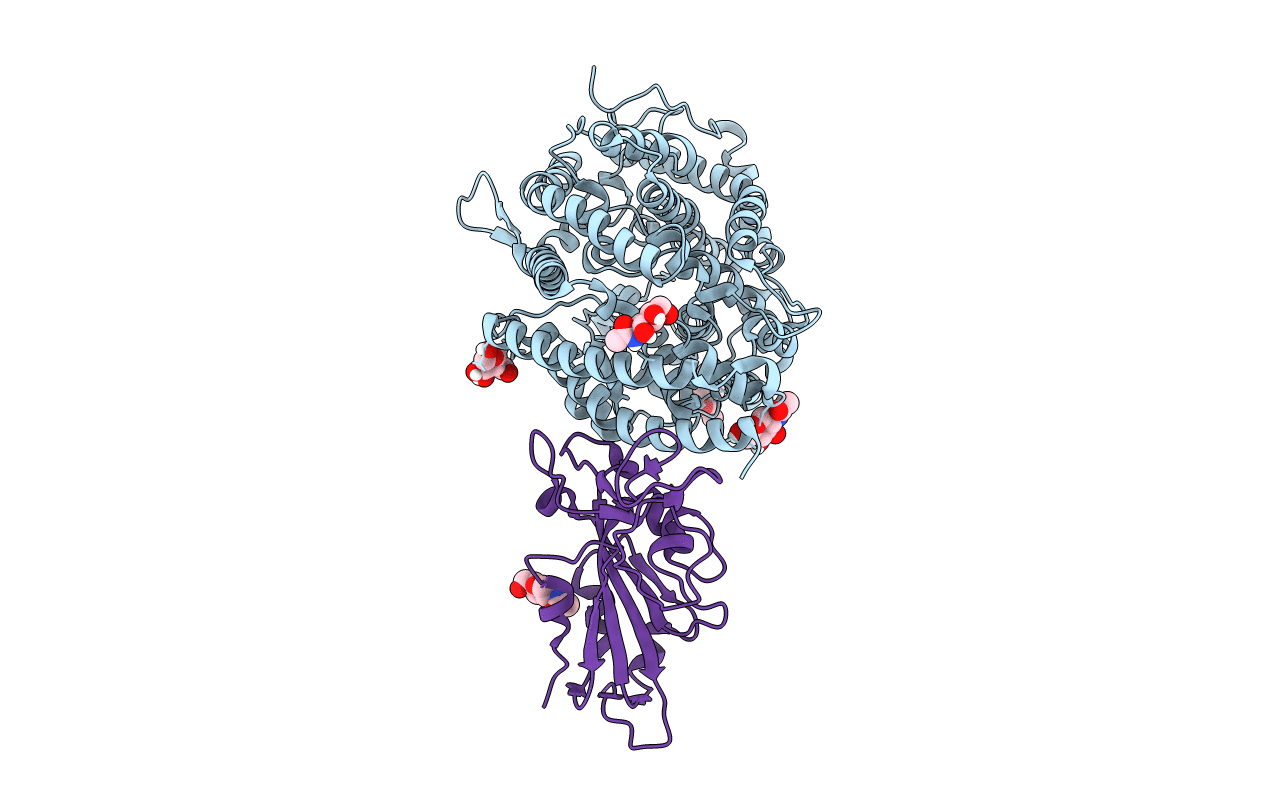 7EFP image