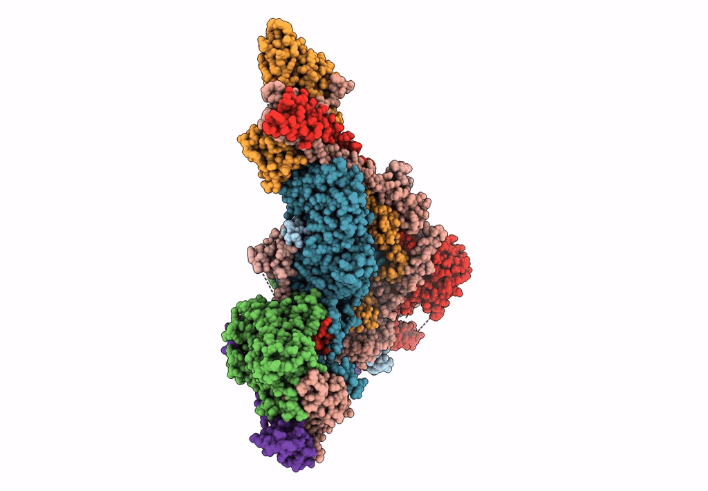7EGM image