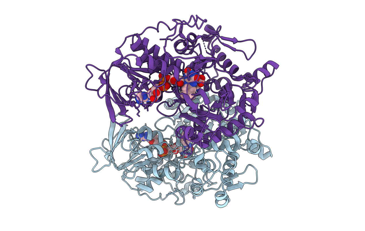 7EII image
