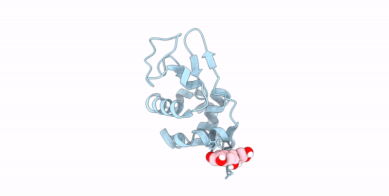 7EKA image