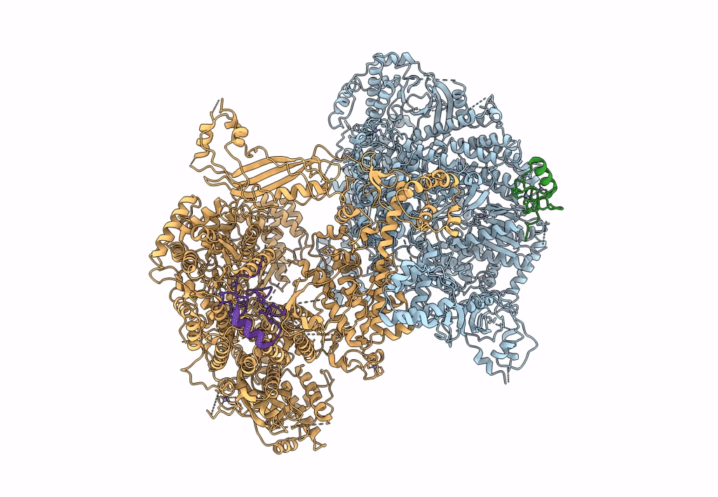 7ELB image