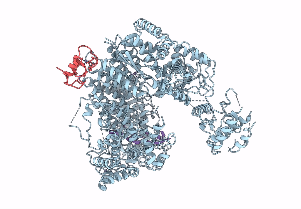 7ELC image