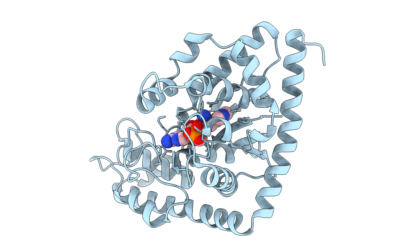 7ELT image