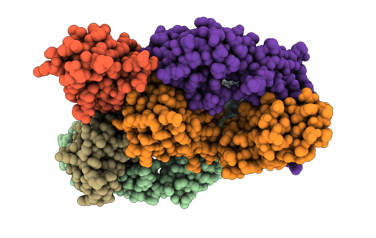 7ELX image